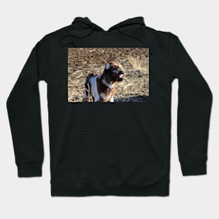 Rocky's Long Day Hoodie